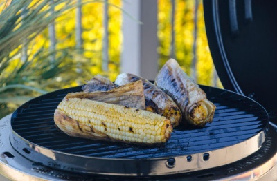 Char-Broil BIG EASY