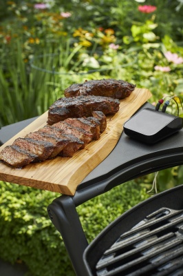 Weber Q 2200