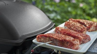 Weber Q 2200
