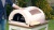 AMPHORA Basic AMPHORA Basic