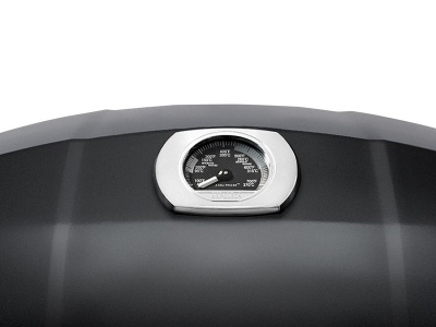 Портативный газовый гриль Napoleon TravelQ PRO 285