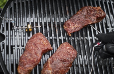 Weber Q 2200