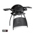 Weber Q 2200