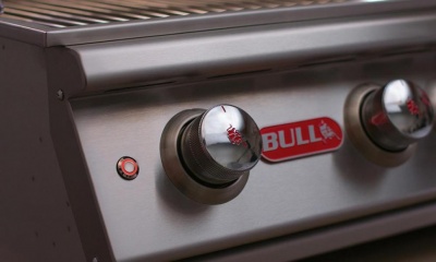 Bull Angus